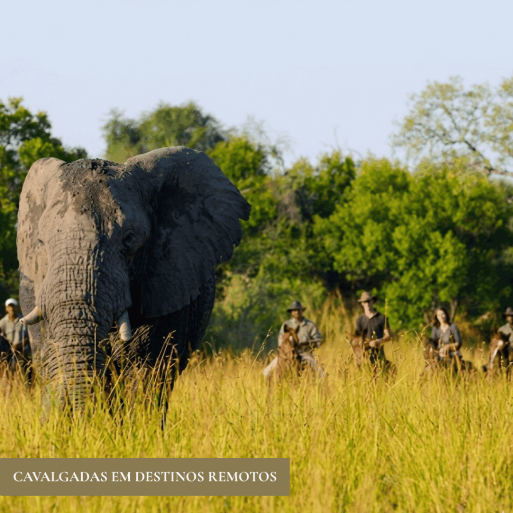 CAVALGADAS-DESTINO-REMOTOS.png