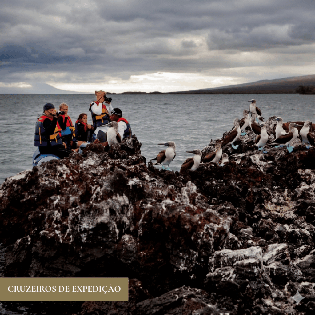 CRUZEIROS-DE-EXPEDICAO.png