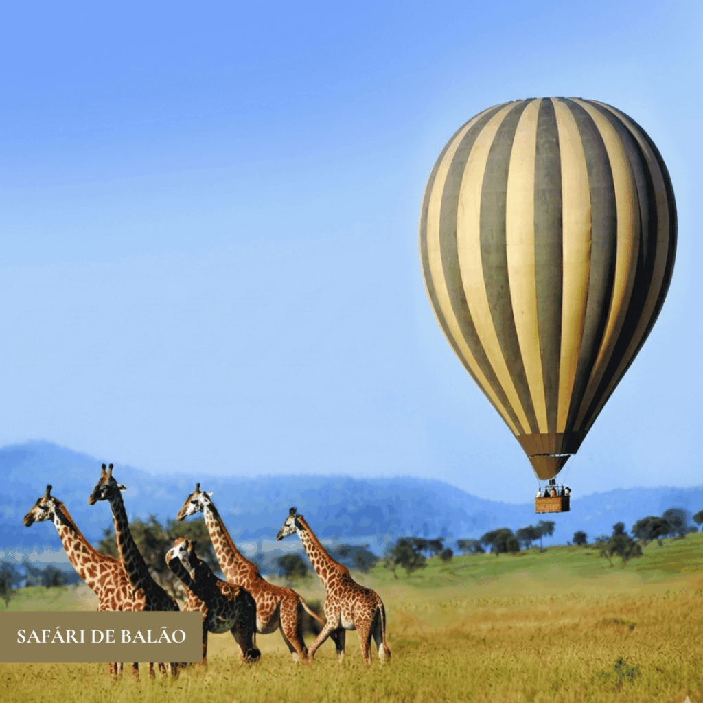 SAFARI-DE-BALAO.png