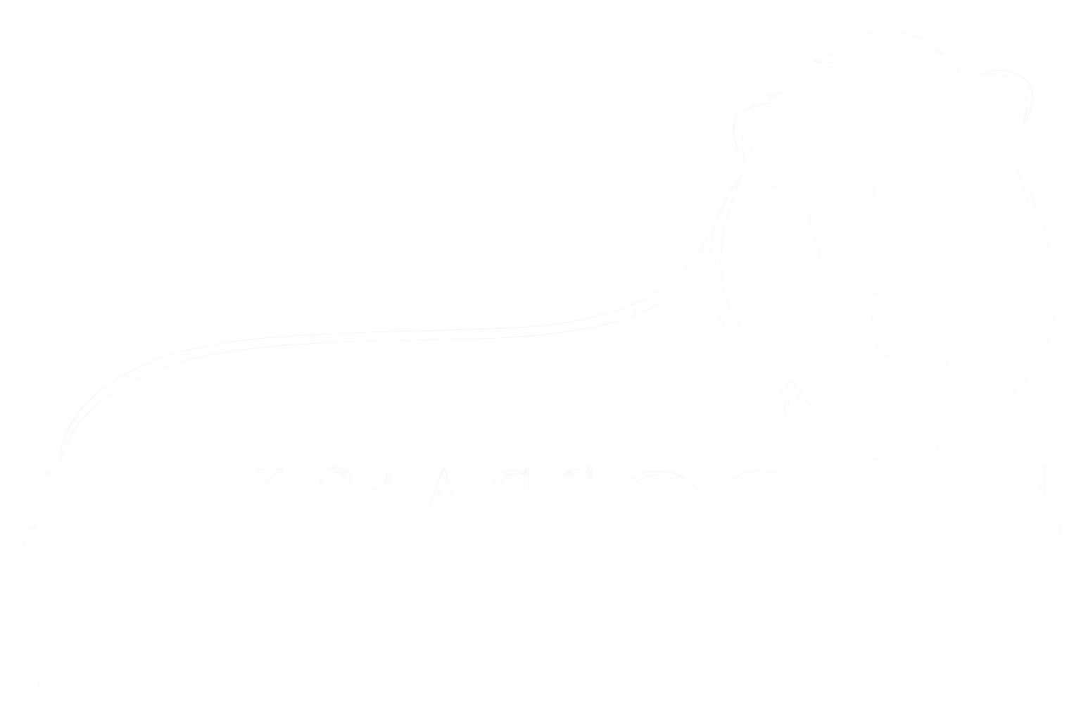 logo judy